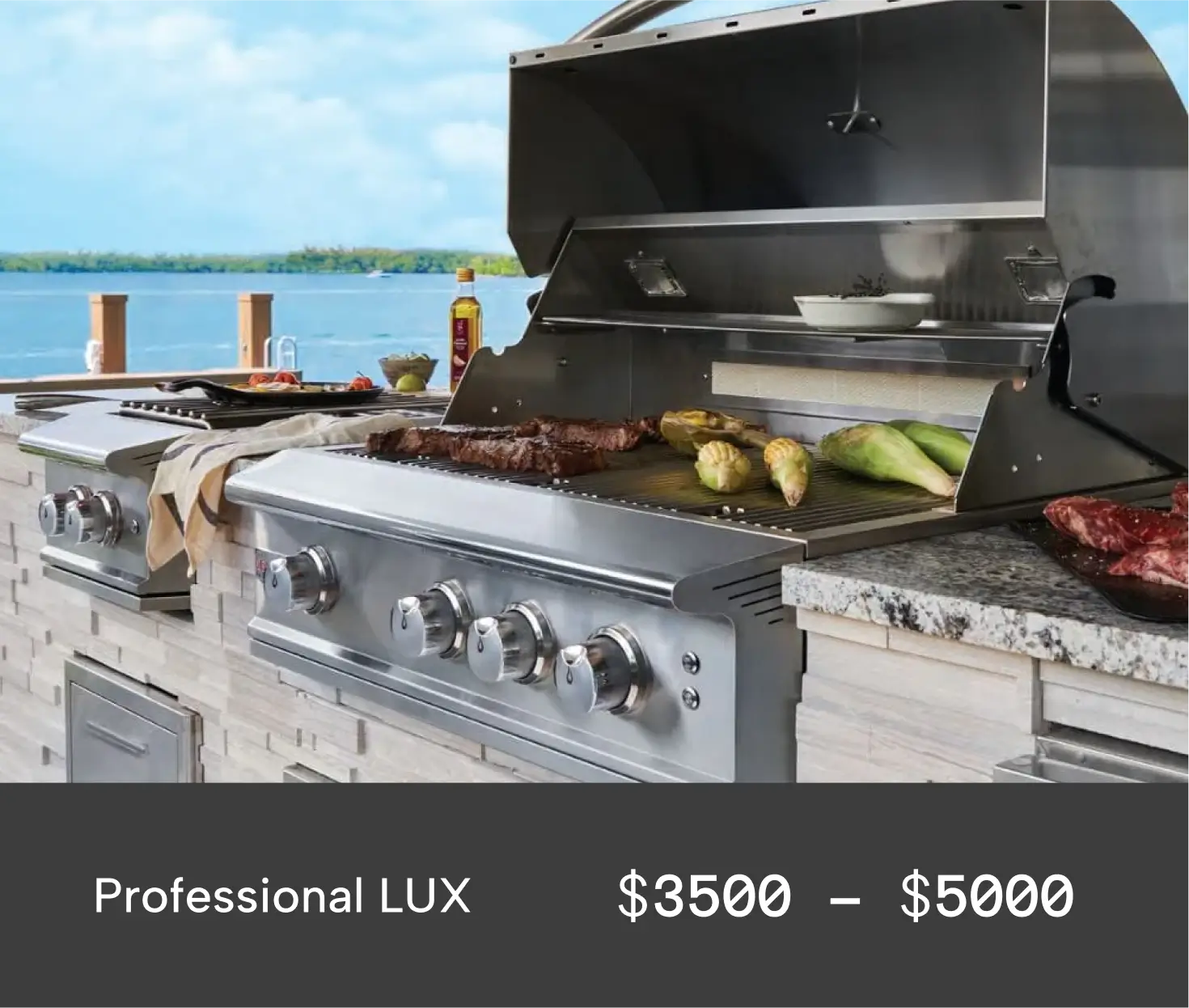 professional-level grilling capabilities