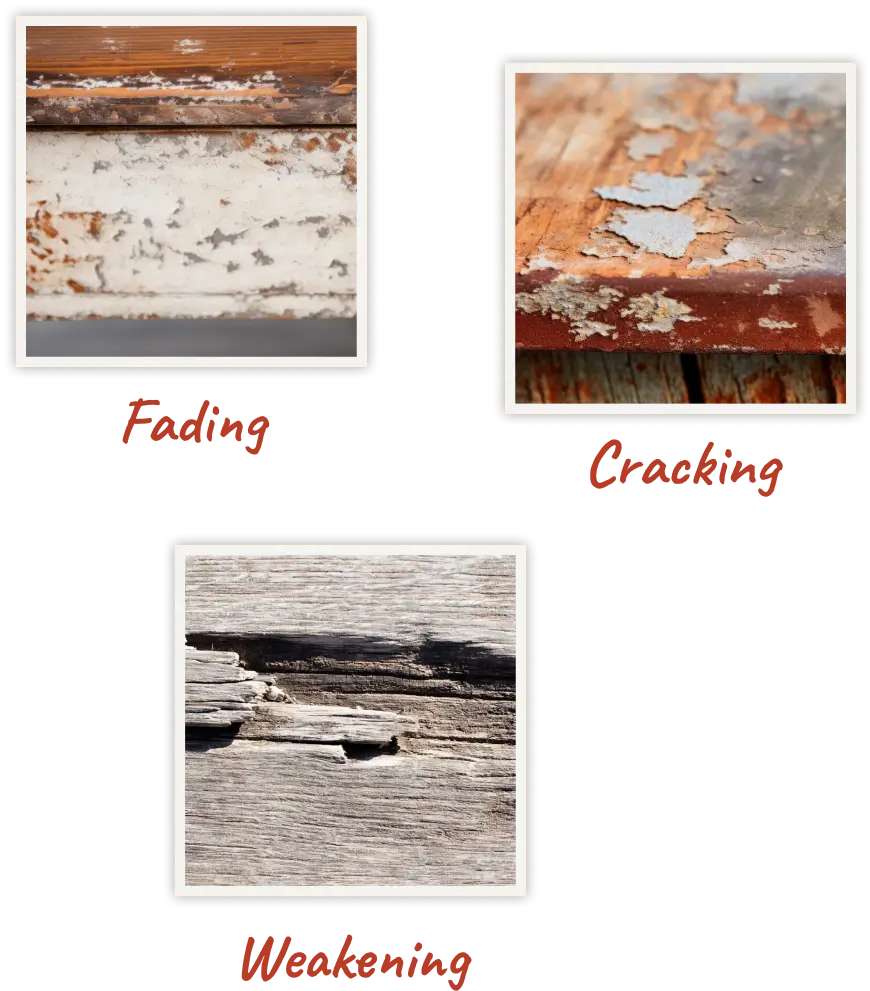 uv-rays-damage-furniture