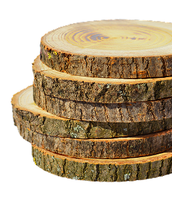 wood being illicitly farmed