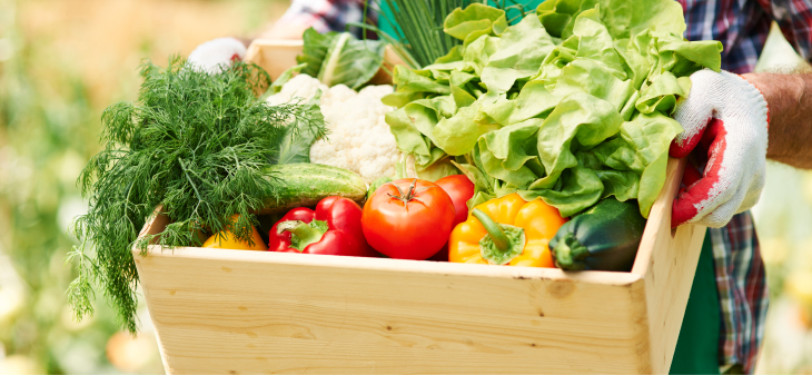 Choosing Sustainable Indgredients