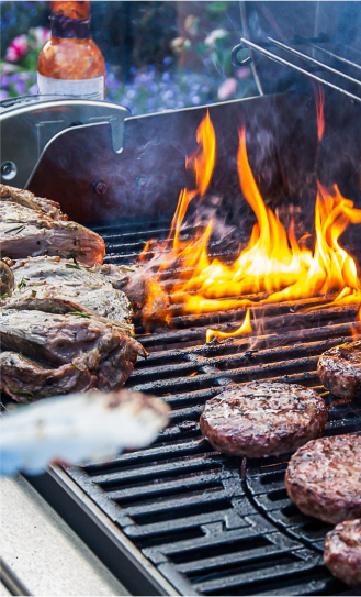 Cooking Gates And Briquette Systems 2