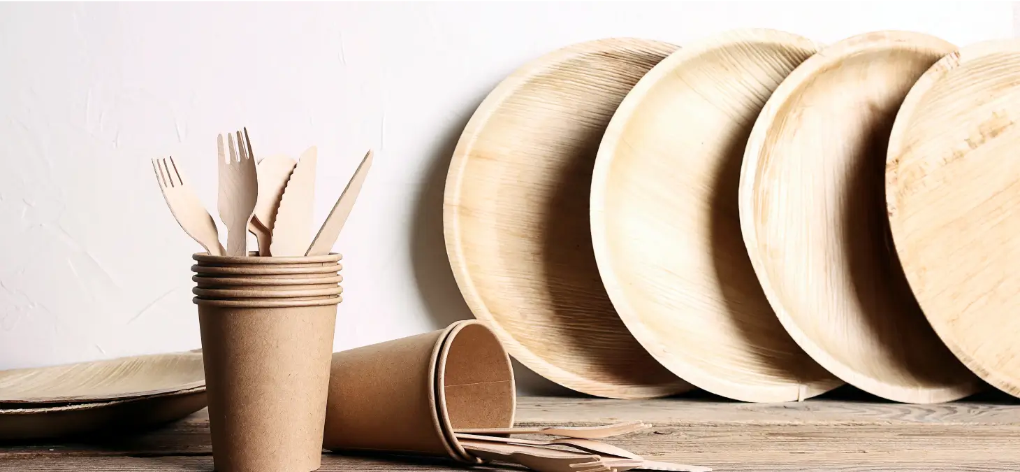Eco-Friendly Grilling Practices