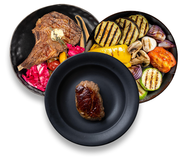 Sear Burners