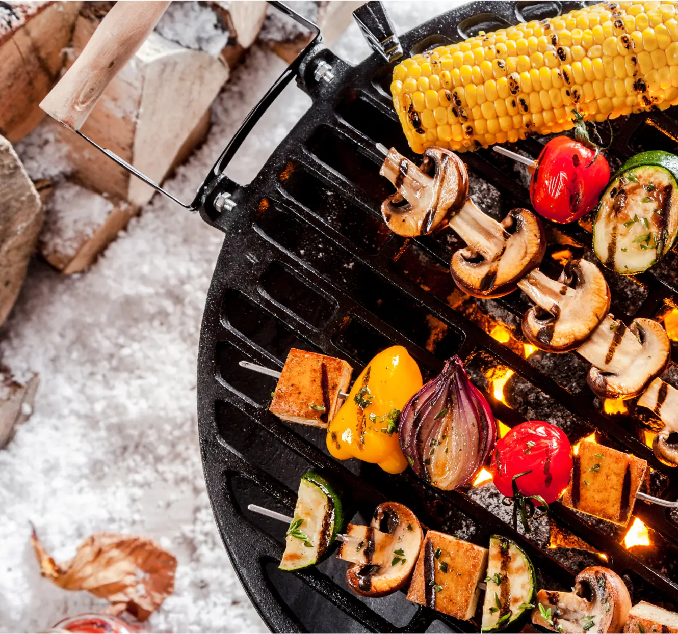 Understanding Vegan Grilling - h2-img