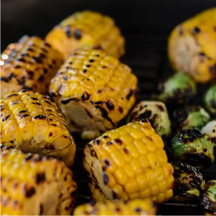 Vegan-grilling-food-6