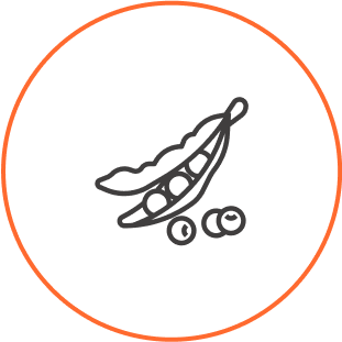 legumes - icn-img
