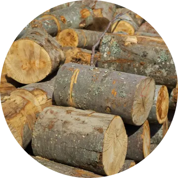 Alder-wood-circle-img