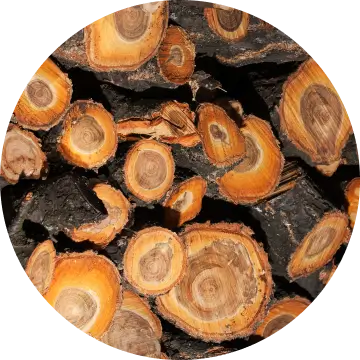 Applewood-wood-circle-img