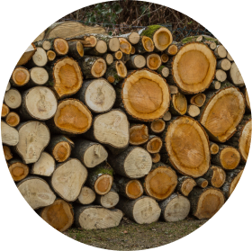Fir-wood-small-img