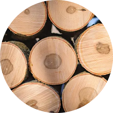Maple-wood-circle-img