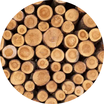 Oak-wood-circle-img