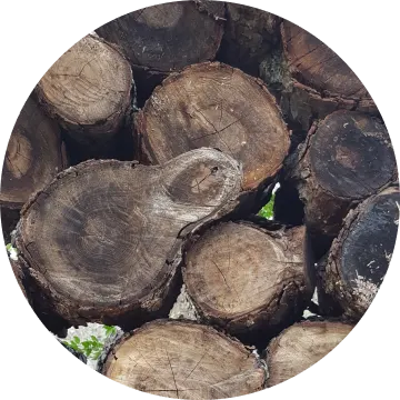 Pecan-wood-circle-img