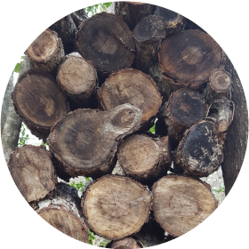Pecan-wood-small-img
