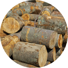 Pine-wood-small-img