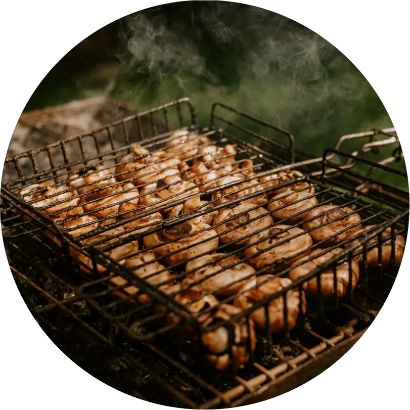 Right Wood Pellets for grilling & smoking - Conclusion - h2-img-1