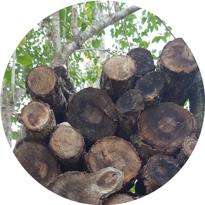 Types of Wood Pellets - h2-img-3
