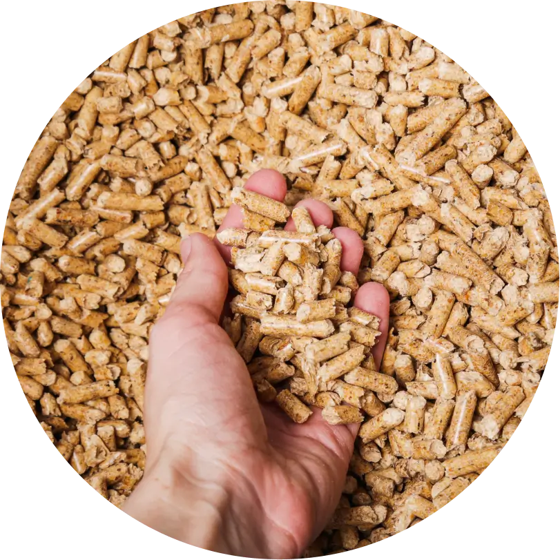 What are Wood Pellets - h2-img-1