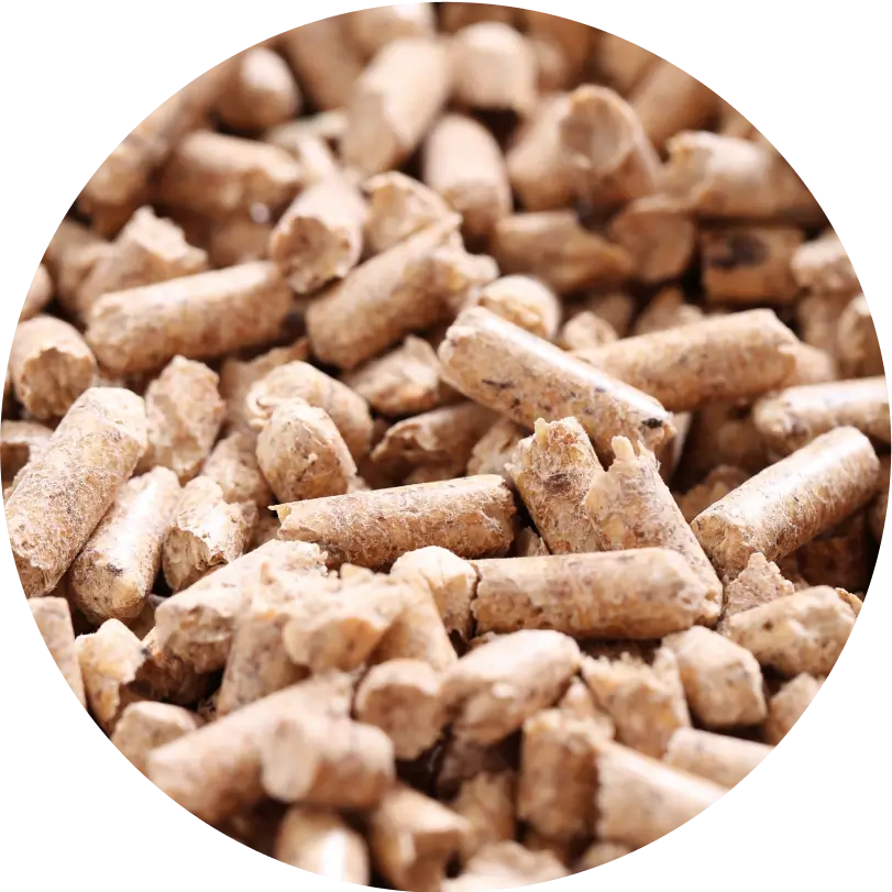 What are Wood Pellets - h2-img-2
