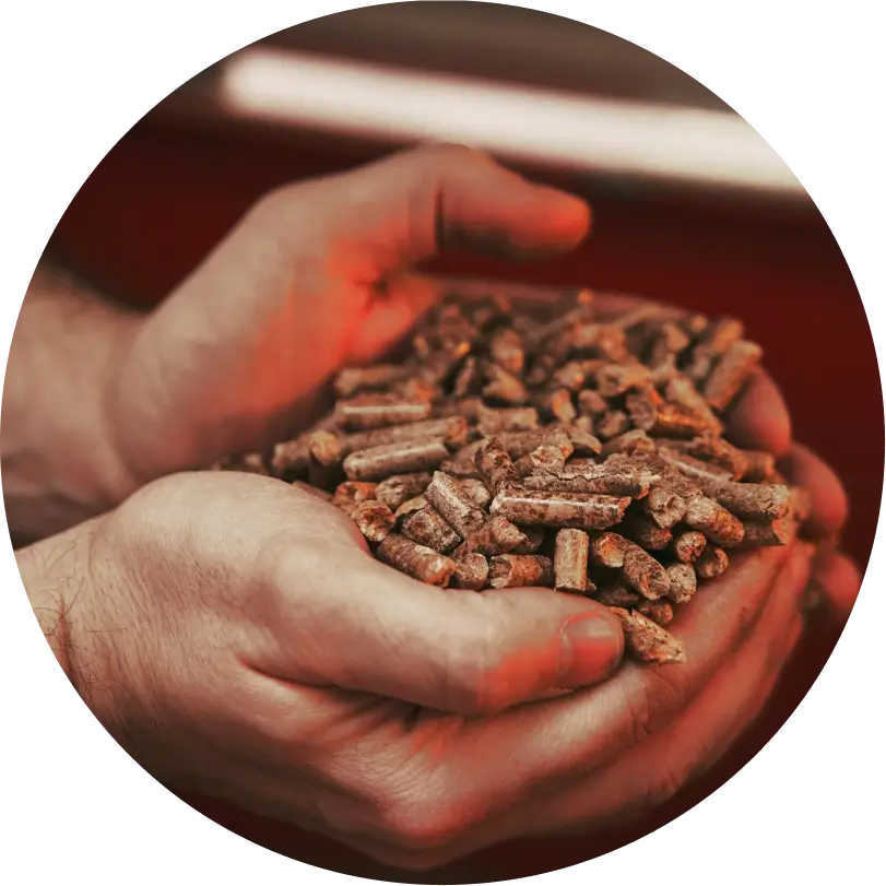 common mistakes to avoid WHEN CHOOSING WOOD PELLETS - h2-img-1