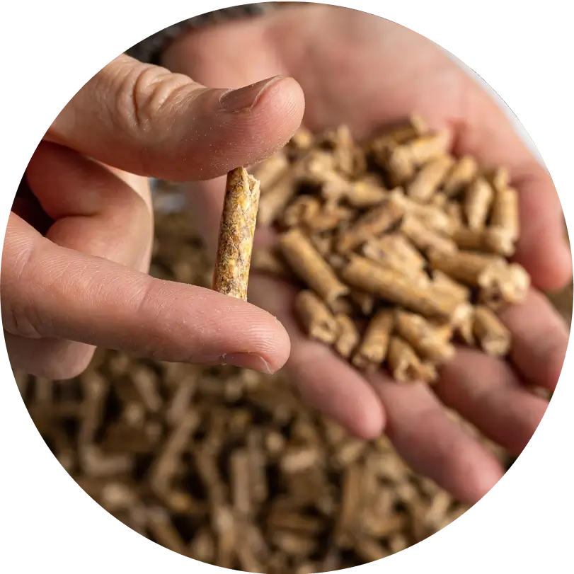 common mistakes to avoid WHEN CHOOSING WOOD PELLETS - h2-img-2