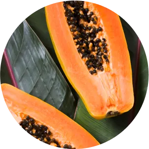 papaya - small-img