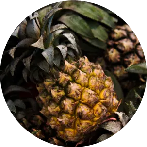 pineapple - small-img