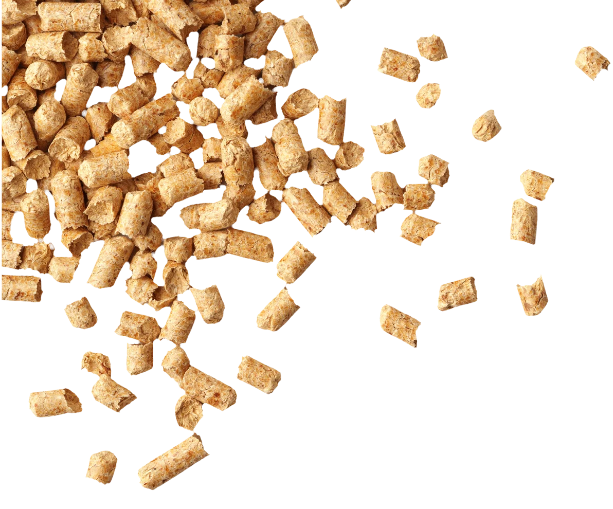 wood-pellets-layer-img-3