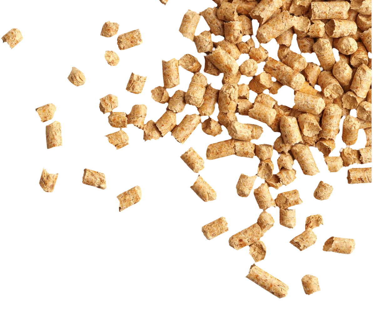 wood-pellets-layer-img-4