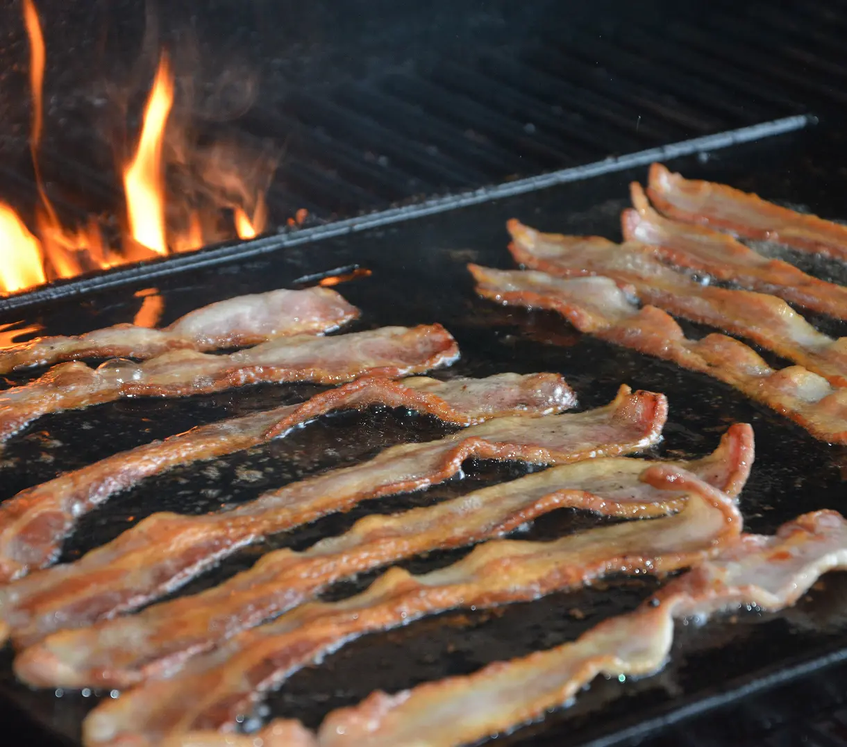 Bacon