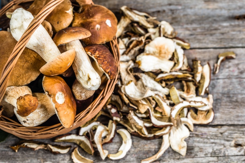 Boletus