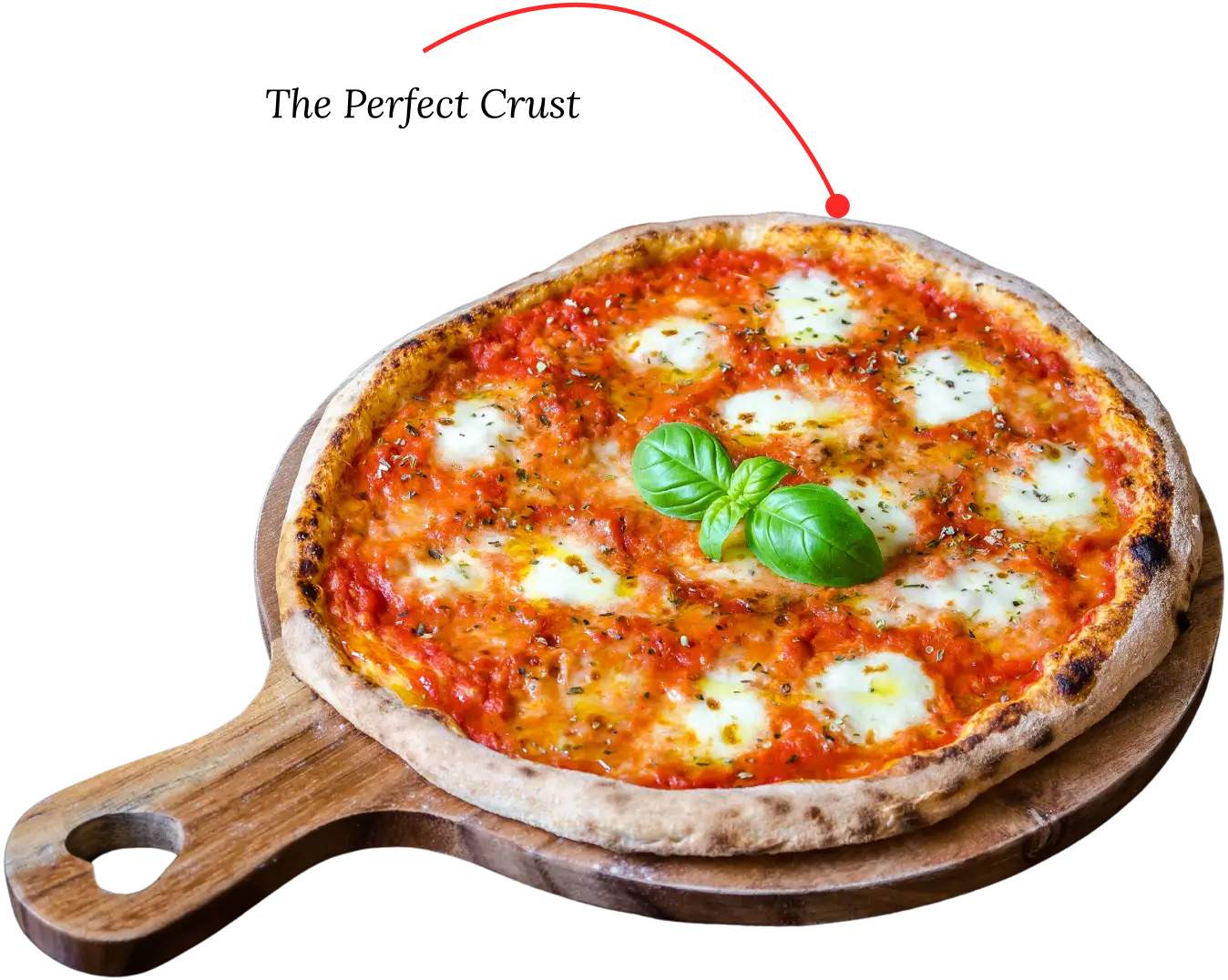 Pizza - the perfect crust