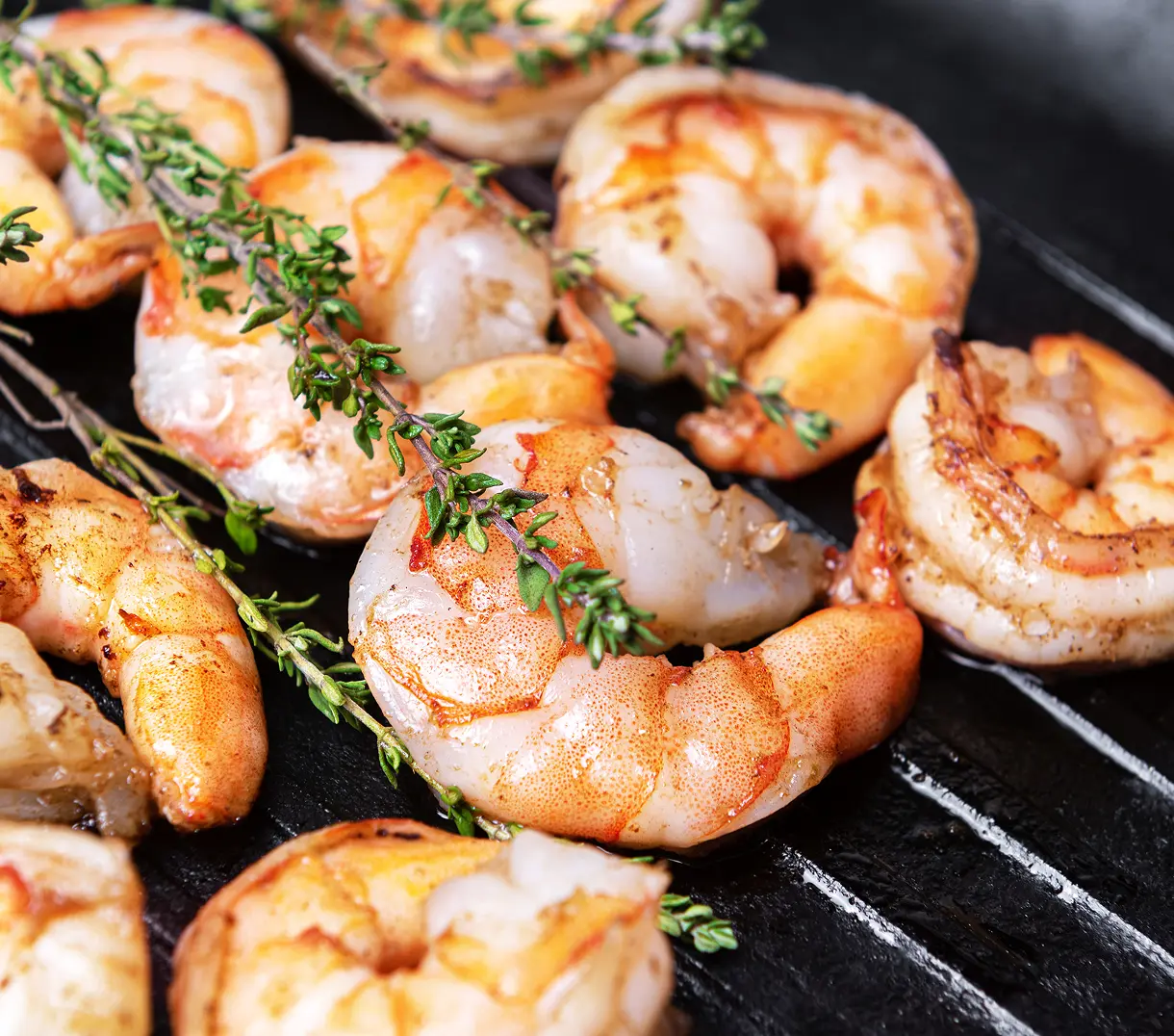 Shrimp