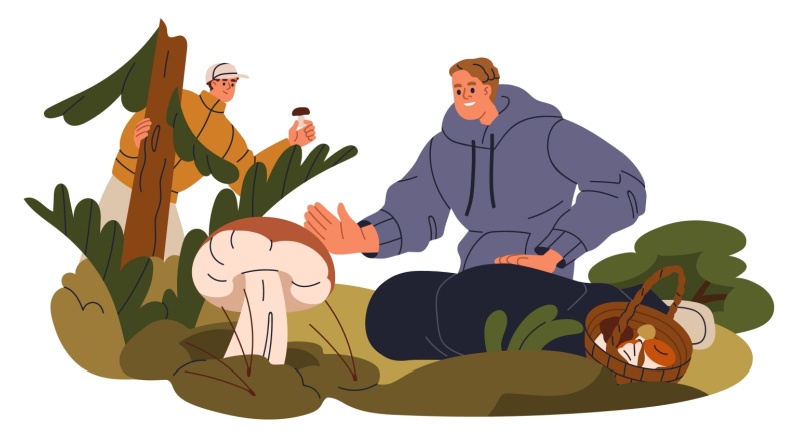foraging-mushrooms