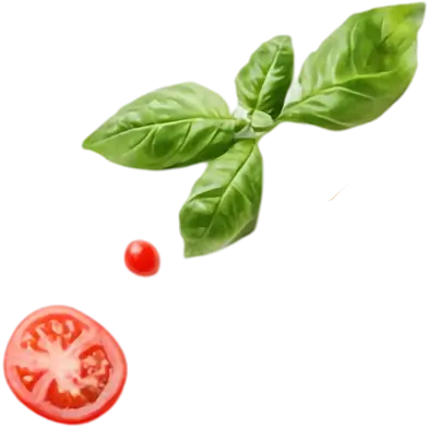 tomato and leaf img layer - h2 layer