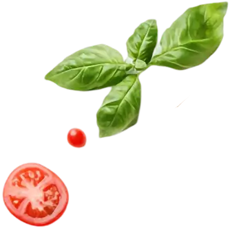 tomato and leaf img layer