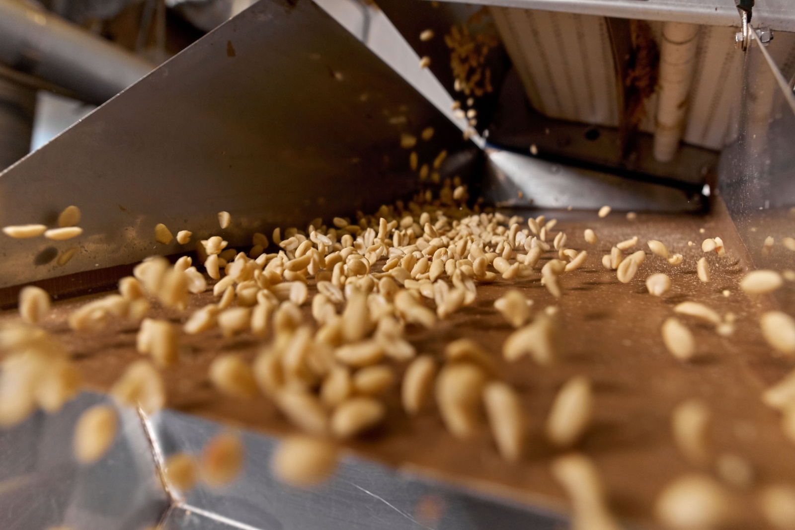 Food Science - Food Processing