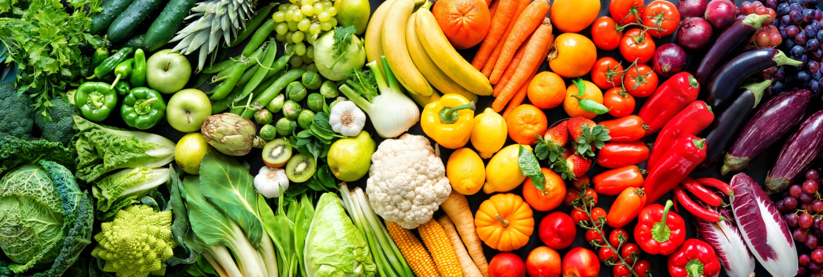 Food Science - Resources