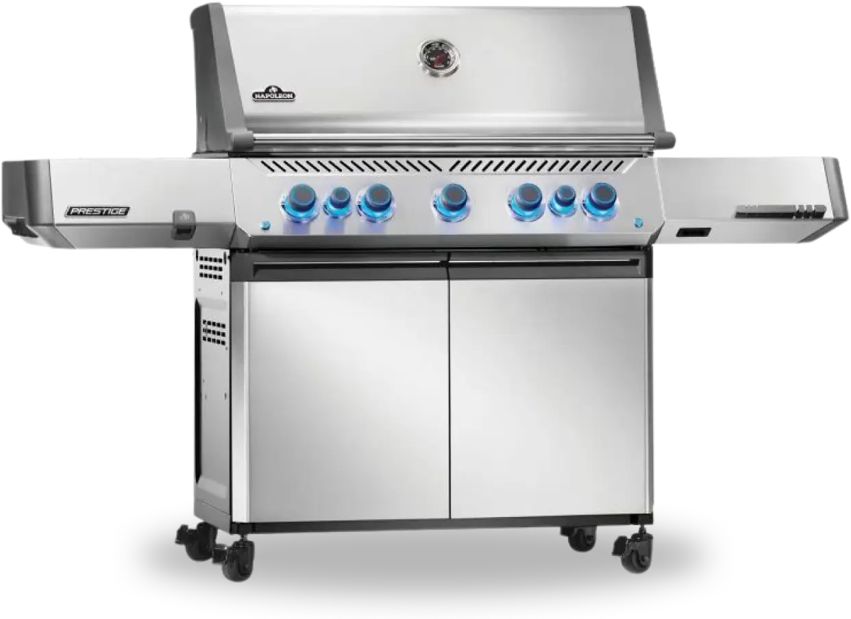 PRESTIGE Model - img