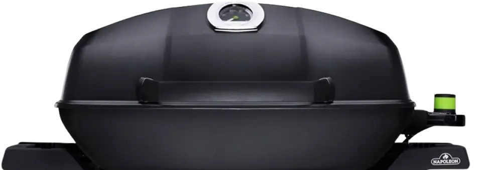 TRAVELQ-Model-Napoleon-Grill-Comparison-h3-img