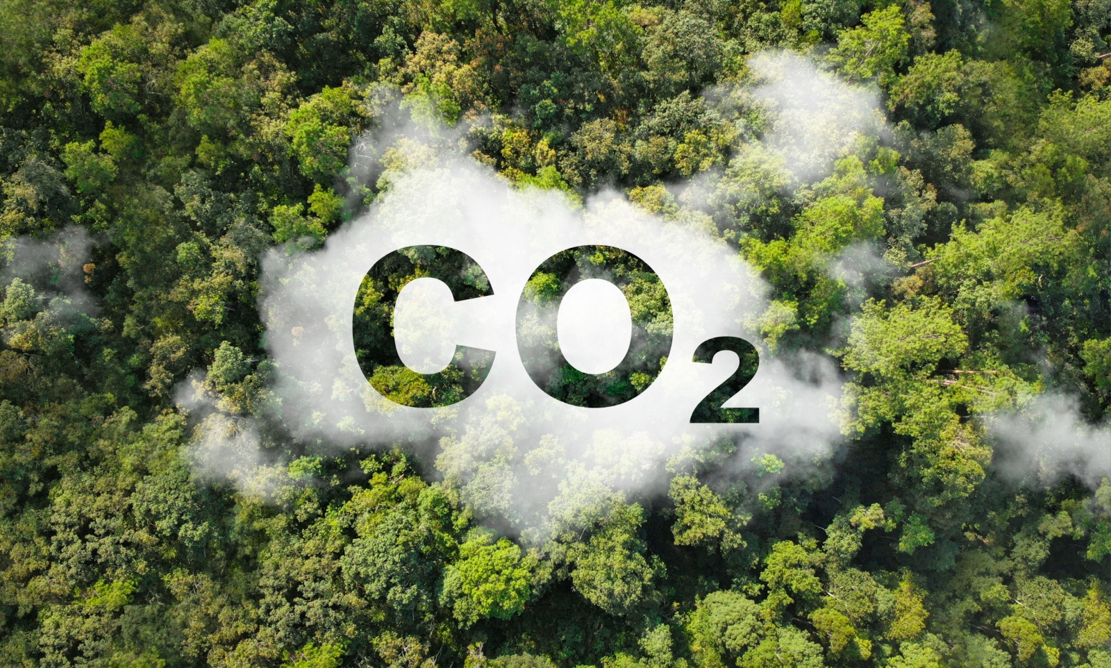 climate-resilience-carbon footprint