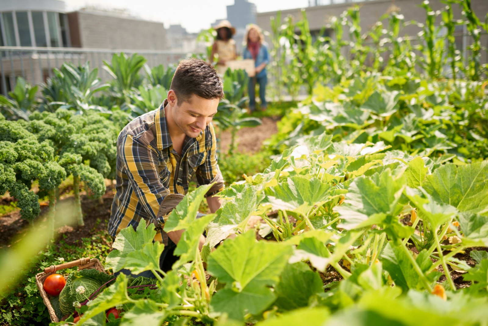 climate-resilience-community strategies