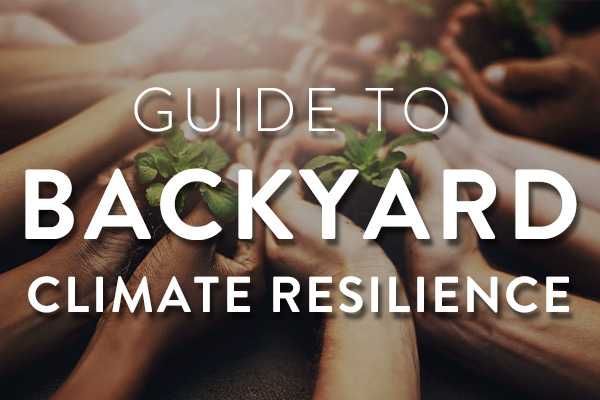climate-resilience-featured