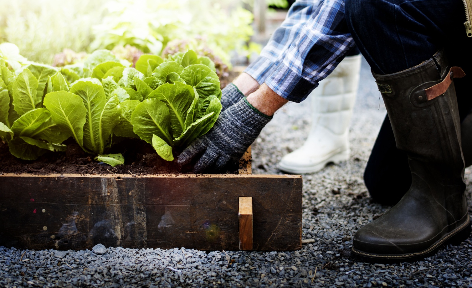 climate-resilience-resources