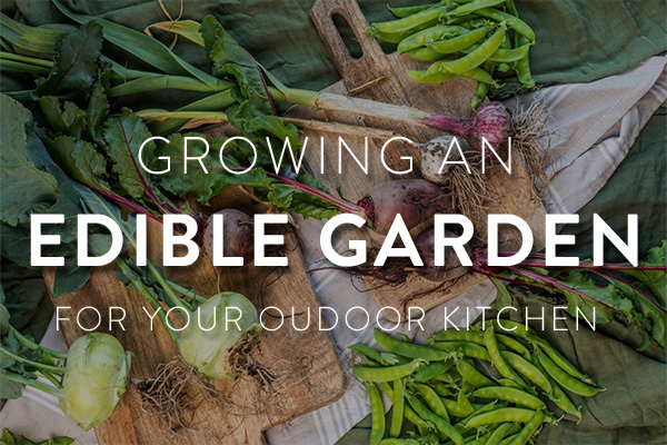edible-garden-featured