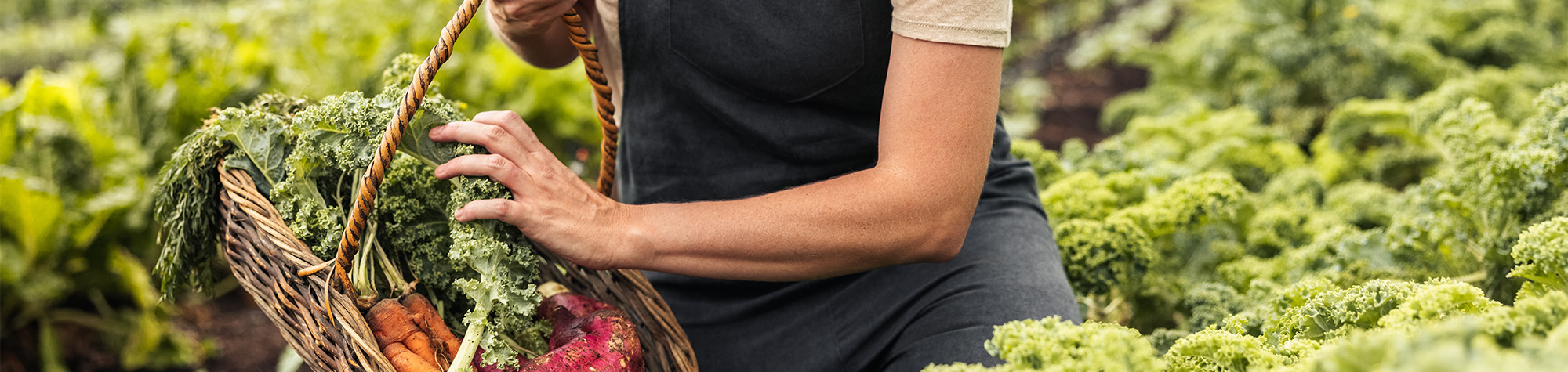 edible-garden-header