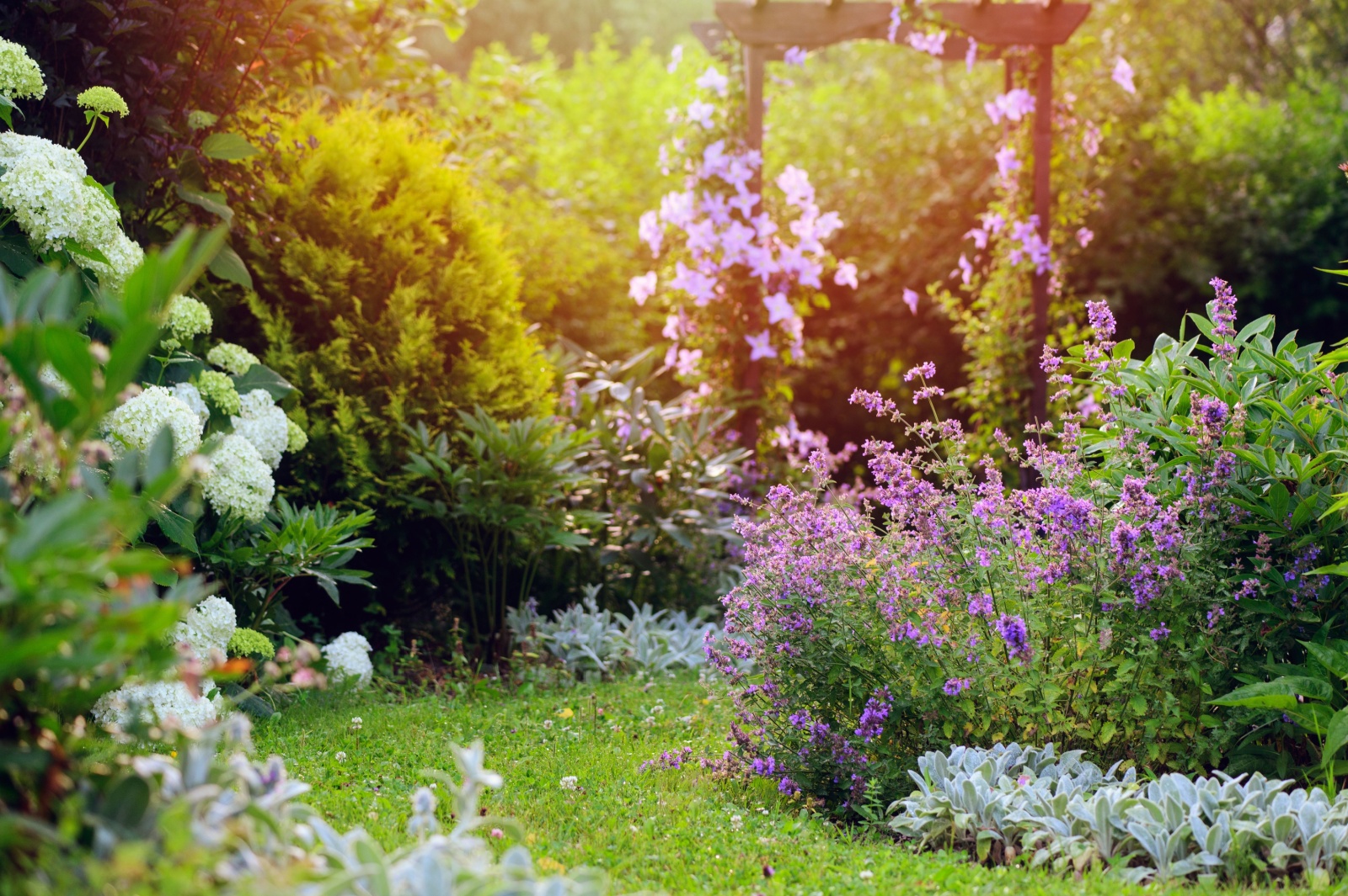 flower-garden