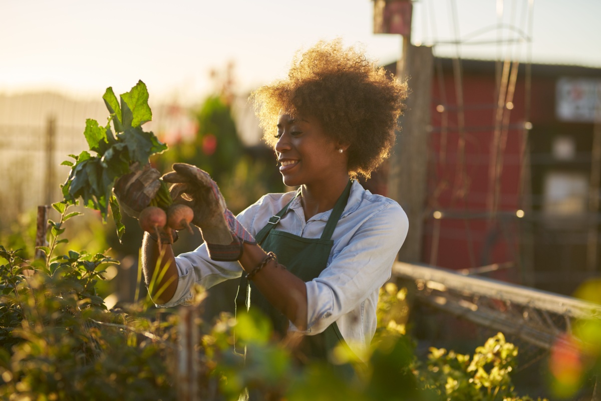 gardening-basics