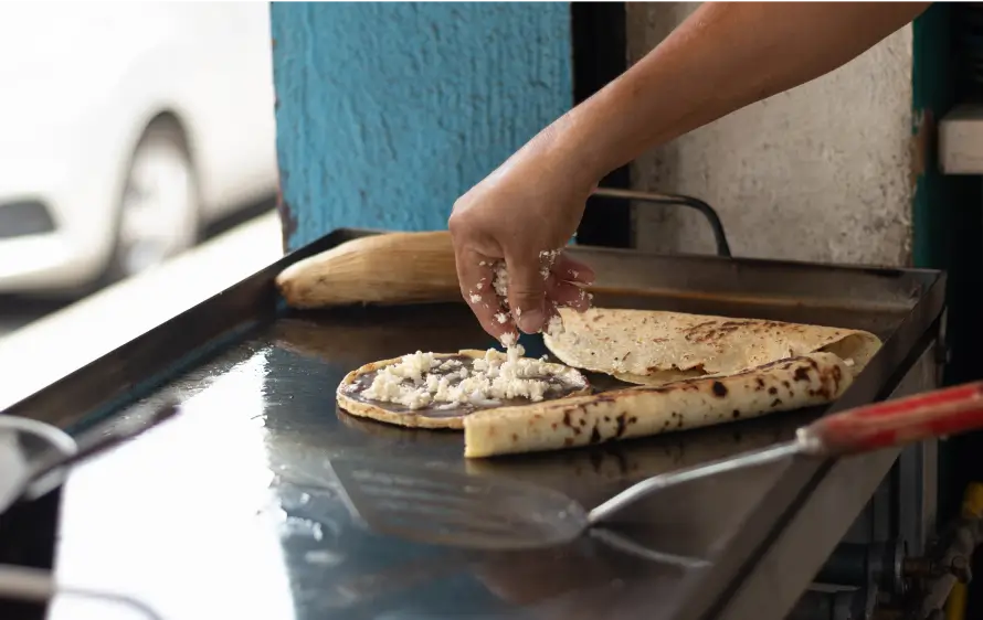 Quesadillas - Grilled Sandwiches - Fajitas