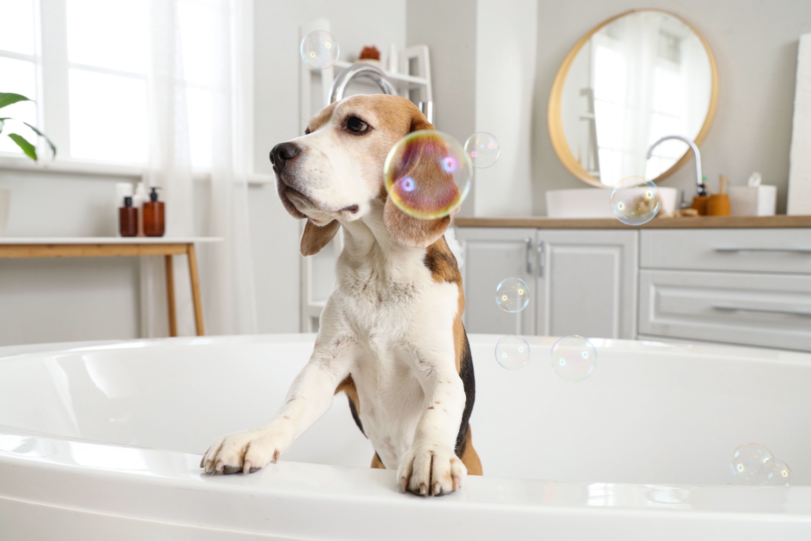 pet-proofing-bathroom