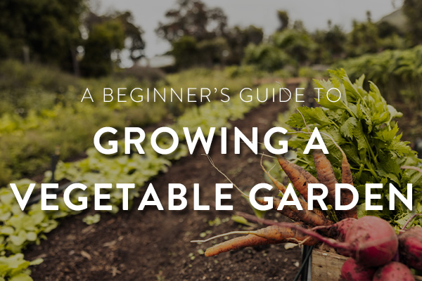 veggie-garden-featured